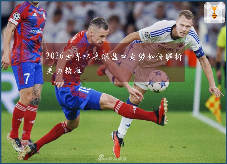 2026世界杯滚球盘口走势如何解析更为精准