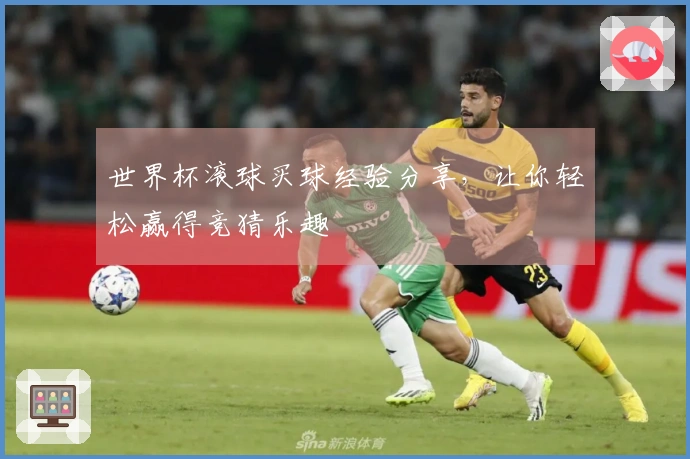 世界杯滚球买球经验分享，让你轻松赢得竞猜乐趣