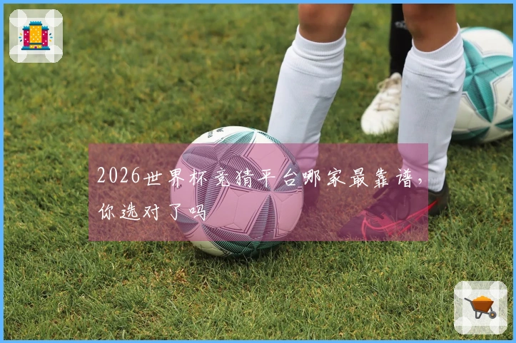 2026世界杯竞猜平台哪家最靠谱，你选对了吗