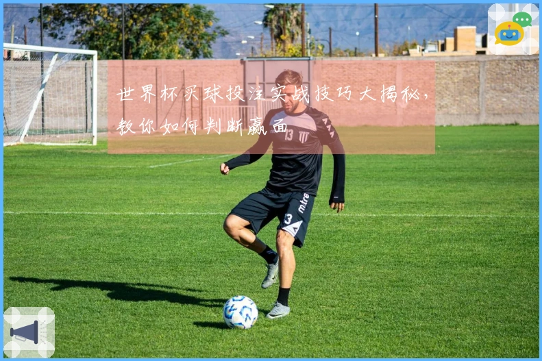 世界杯买球投注实战技巧大揭秘，教你如何判断赢面