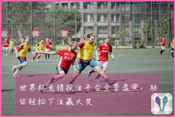 世界杯竞猜投注平台全景盘点，助你轻松下注赢大奖
