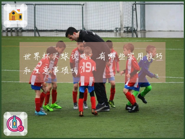 世界杯买球攻略：有哪些实用技巧和注意事项吗？