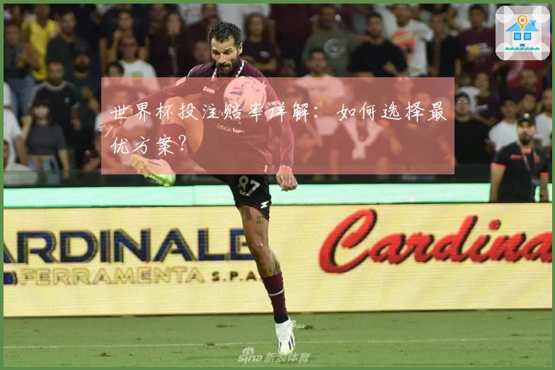 世界杯投注赔率详解：如何选择最优方案？