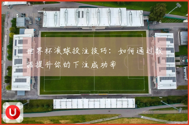 世界杯滚球投注技巧：如何通过数据提升你的下注成功率