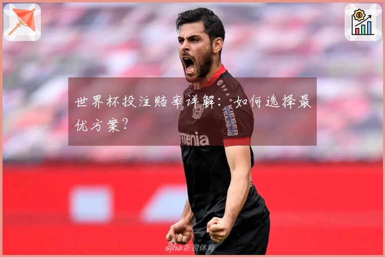 世界杯投注赔率详解：如何选择最优方案？