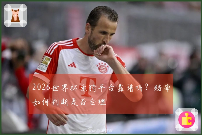 2026世界杯竞猜平台靠谱吗？赔率如何判断是否合理
