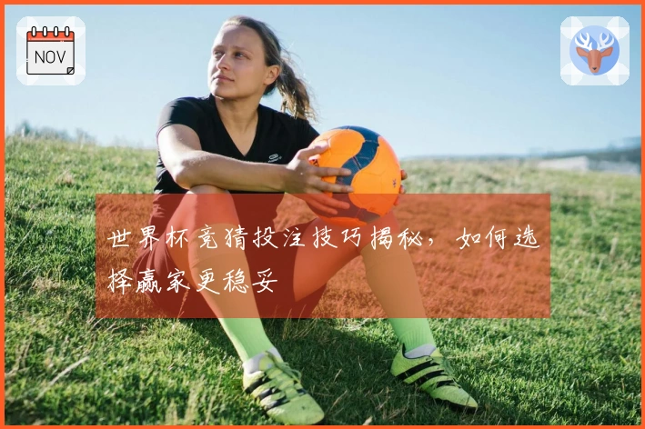 世界杯竞猜投注技巧揭秘，如何选择赢家更稳妥