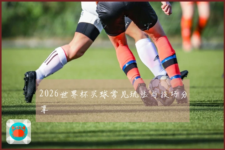 2026世界杯买球常见玩法与技巧分享