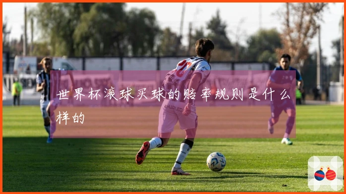 世界杯滚球买球的赔率规则是什么样的