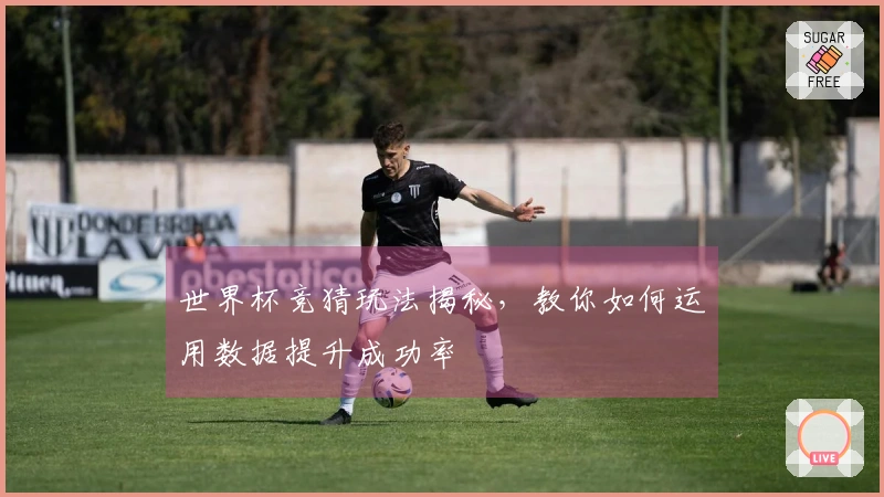 世界杯竞猜玩法揭秘，教你如何运用数据提升成功率