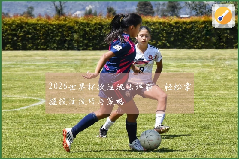2026世界杯投注玩法详解，轻松掌握投注技巧与策略
