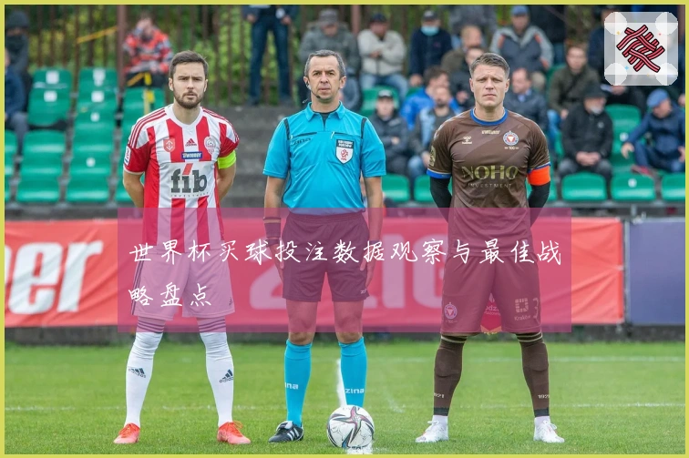 世界杯买球投注数据观察与最佳战略盘点