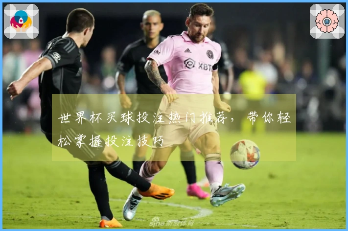世界杯买球投注热门推荐，带你轻松掌握投注技巧