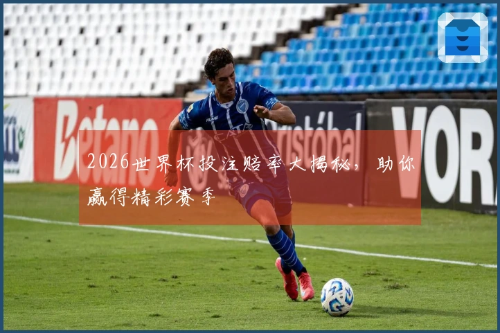 2026世界杯投注赔率大揭秘，助你赢得精彩赛季