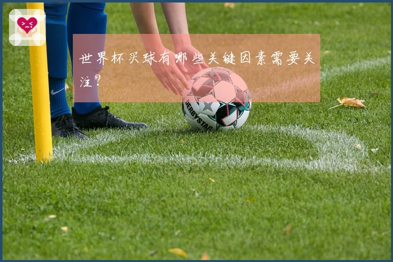 世界杯买球有哪些关键因素需要关注?
