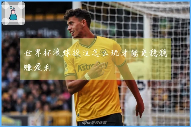 世界杯滚球投注怎么玩才能更稳稳赚盈利